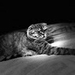 Avatar of user bleyket