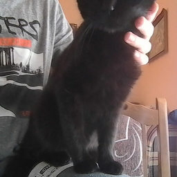 Avatar of user imhimmuhahhahah