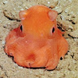 Avatar of user ShellyMusicMaker_222