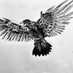 Avatar of user TwoBirdsWithOneStone