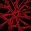 Avatar of user elixi-els