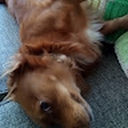 Avatar of user Rabbit28