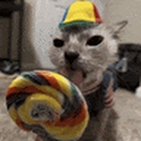 Avatar of user Bio_25