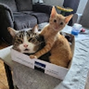 Avatar of user doom212