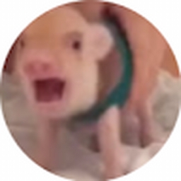 Avatar of user legogoblinp