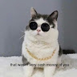 Avatar of user panduh_loop