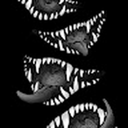 Avatar of user Somar_hl4