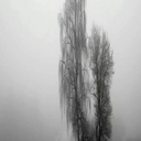 Avatar of user weirdly shaped skull