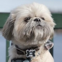 Avatar of user Wild42227