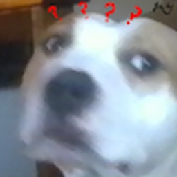 Avatar of user Xanaux