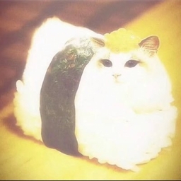 Avatar of user evamoth (escapiistt)