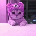 Avatar of user Abiiii