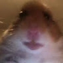 Avatar of user maxxum