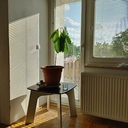 Avatar of user BULBIFER