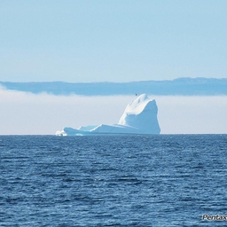 Avatar of user ICE-BERG