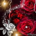 Avatar of user youko12