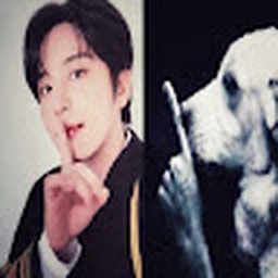 Avatar of user pateez