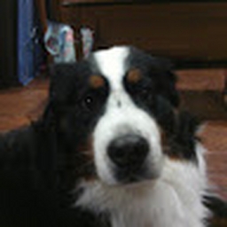 Avatar of user 009580ak