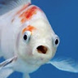 Avatar of user therizzler6767