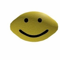 Avatar of user sweetsourlemon