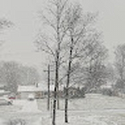 Avatar of user Arpit8080