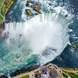 Avatar of user BeautifulDisasters