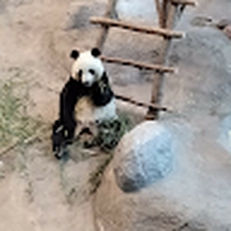 Avatar of user Joelhed88