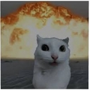 Avatar of user Semii!!!!!!!