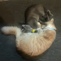 Avatar of user Crafty08