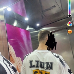 Avatar of user Lionking_070