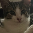 Avatar of user aL3XTHEGRAET