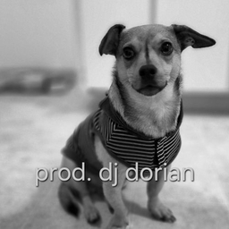 Avatar of user prod. dj dorian
