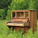 Avatar of user mangoloco