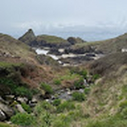 Avatar of user yukwang