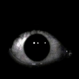 Avatar of user blackout808