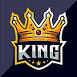 Avatar of user KingCrazyladYT