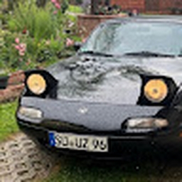 Avatar of user perane