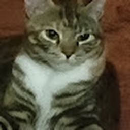 Avatar of user CringeOfficial