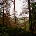 Avatar of user maximaxxx