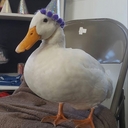 Avatar of user ntworthy3