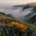 Cover of album kick his cock by --❤️R0XY❤️-->