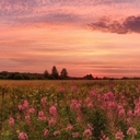 Cover of album my h3@rts a st3r30 by --❤️R0XY❤️-->