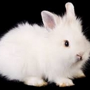 Avatar of user KatorSMTH