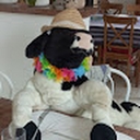 Avatar of user Mind404