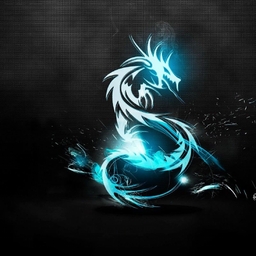 Avatar of user BHAVYA_AVAIYA