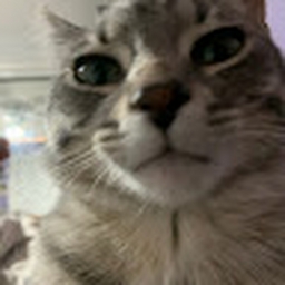 Avatar of user kreepi