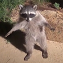 Avatar of user Riksuha