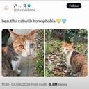 Avatar of user Hazelnut