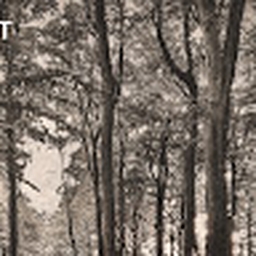 Avatar of user djbendydipper