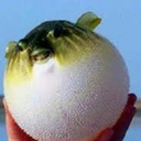 Avatar of user Pitbull_Beats
